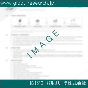 グローバルリサーチ調査資料のイメージ